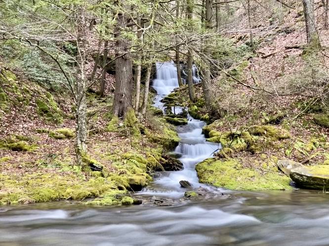  Hamilton Hollow Falls (approx. 10-foot tall vertical cascade)