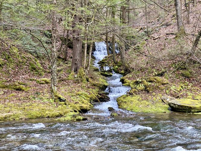 Hamilton Hollow Falls (approx. 10-foot tall vertical cascade)