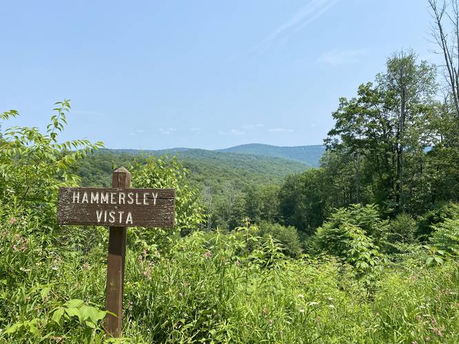 Hammersley Vista - Hammersley Vista July 2021 album