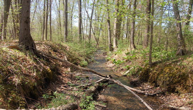 Hampshire College Conservation Loop Trail