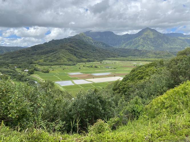 Picture 2 of Hanalei Valley Lookout