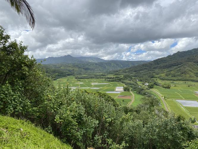 Picture 3 of Hanalei Valley Lookout
