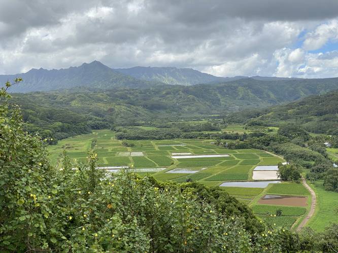 Picture 4 of Hanalei Valley Lookout