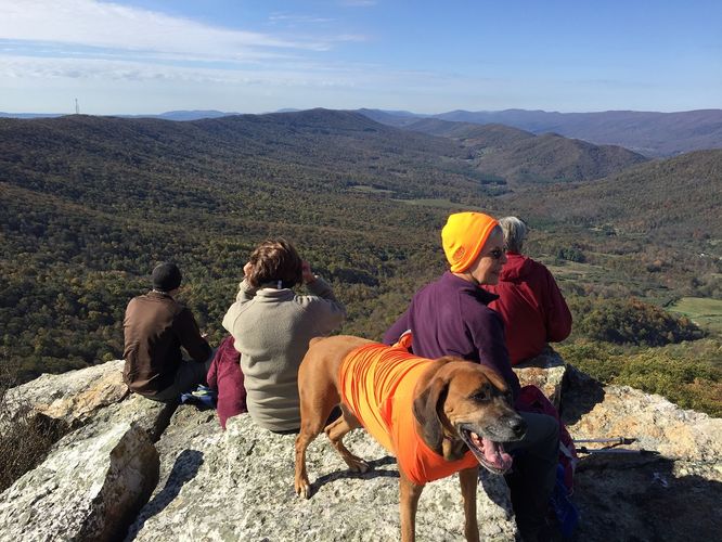 Picture 6 of Hanging Rock Hike 101519