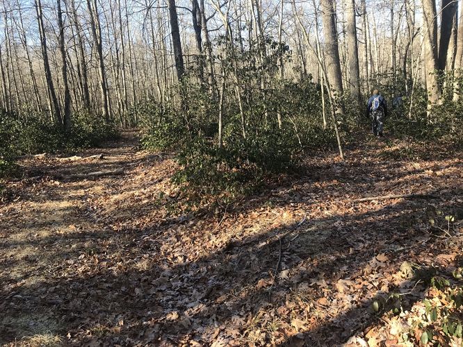 Hanging Rock Hike - Hanging Rock Hike 122019 album