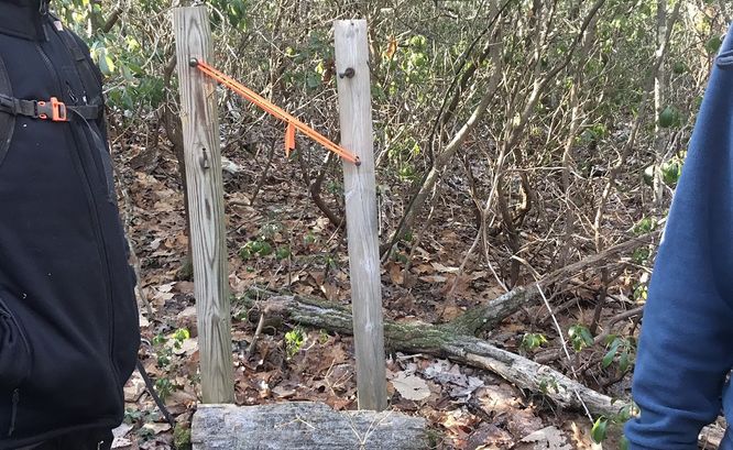 Picture 2 of Hanging Rock Hike 122019