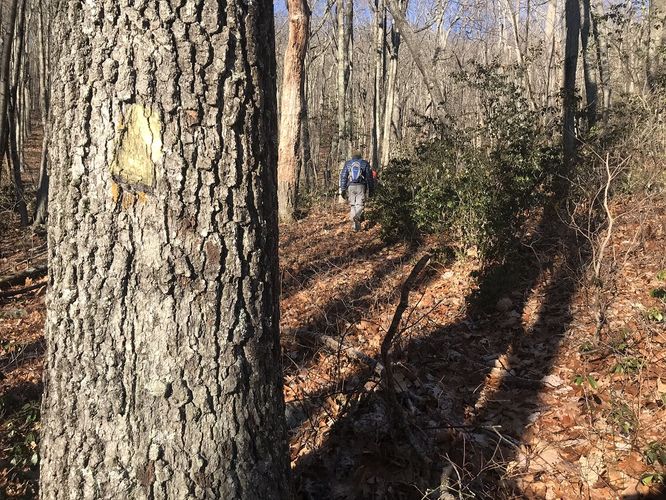 Picture 5 of Hanging Rock Hike 122019