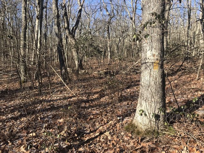 Picture 7 of Hanging Rock Hike 122019