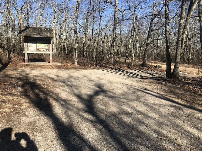 Picture 10 of Hanging Rock Hike 122019
