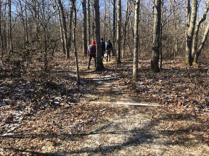 Picture 11 of Hanging Rock Hike 122019