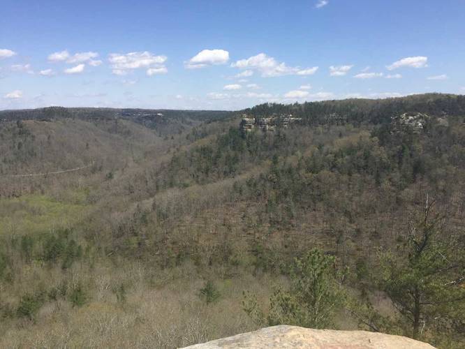 Red River Gorge Geological Area default picture
