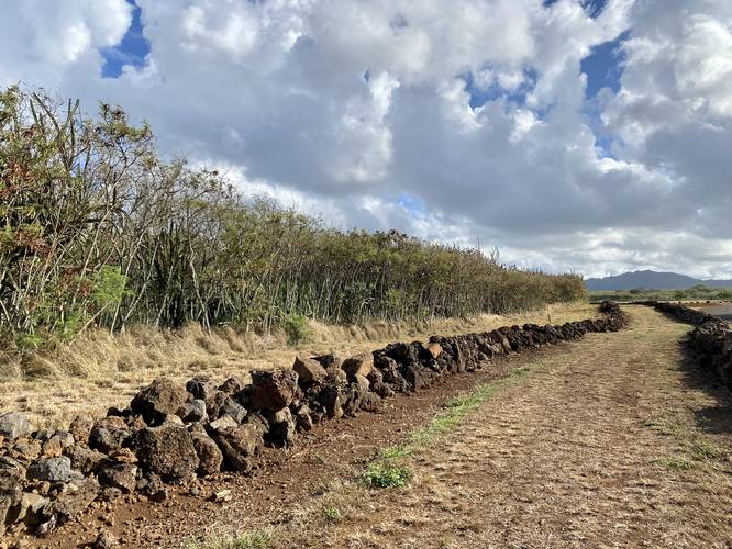 Hapa Road - enclosed by lava rock wall