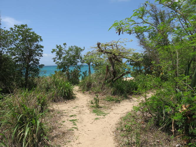 End of the trail at Happy Bay