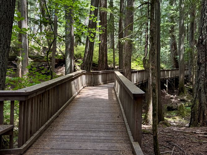 Universally-accessible boardwalk of the Happy Creek Forest Walk