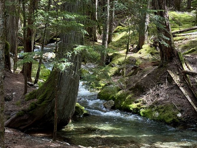 Turquoise-hued waters of Happy Creek