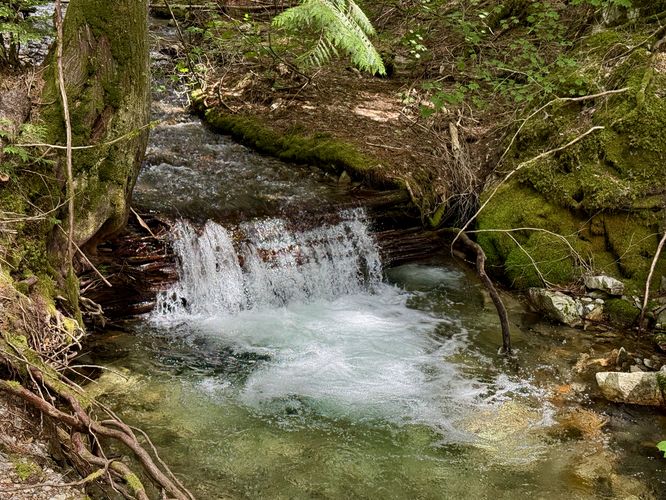 Default image for Happy Creek Forest Walk, a 0.3-mile trail in Diablo, WA (US)