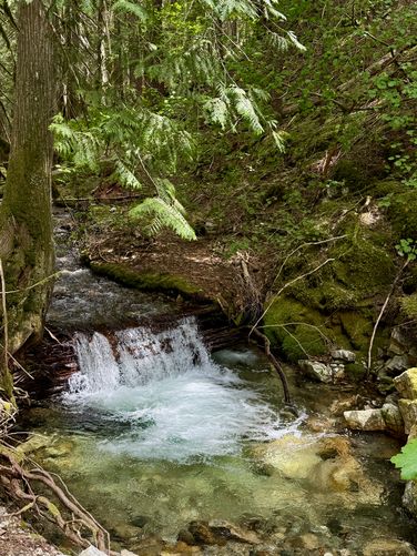 Portrait view of a small waterfall in Happy Creek