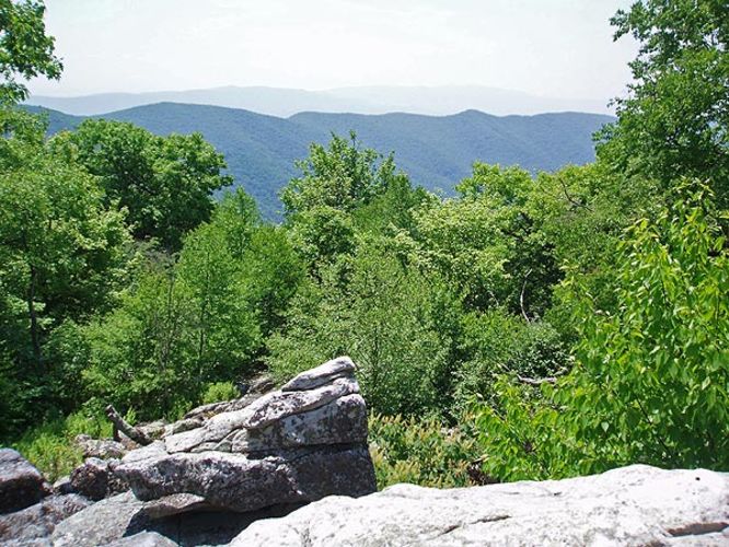 Default image for Hardscrabble Knob Hike, a 7.0-mile trail in West Augusta, VA (US)