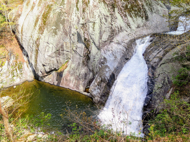 Picture 15 of Harper Creek Falls Hike 041617