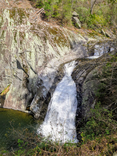 Picture 16 of Harper Creek Falls Hike 041617