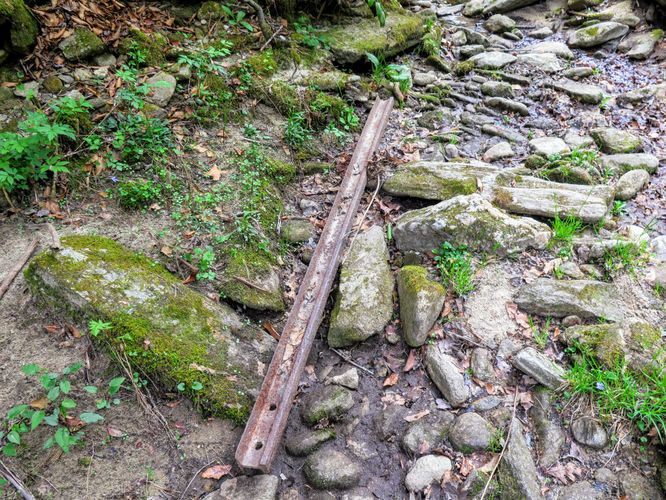 Picture 21 of Harper Creek Falls Hike 041617