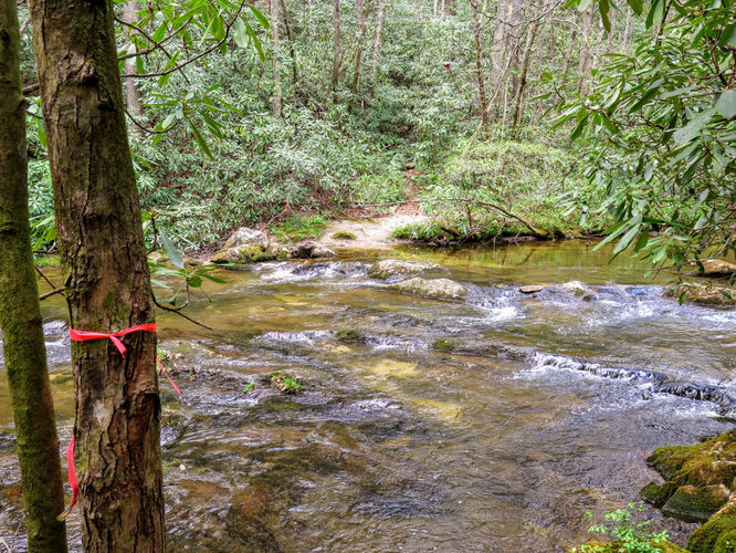 Picture 30 of Harper Creek Falls Hike 041617