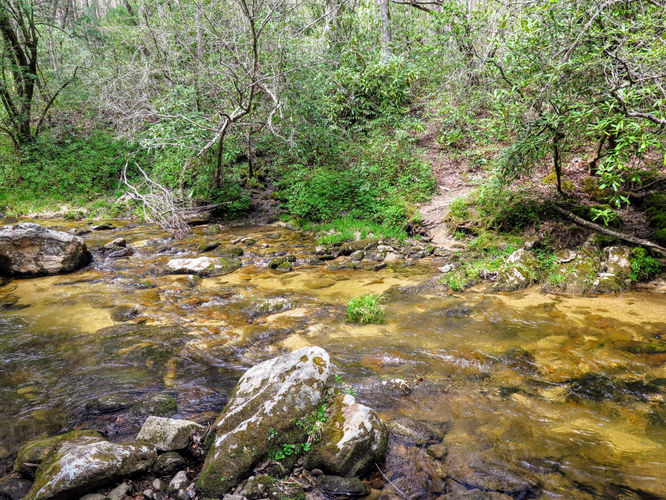 Picture 31 of Harper Creek Falls Hike 041617