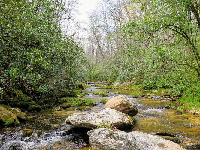 Picture 32 of Harper Creek Falls Hike 041617