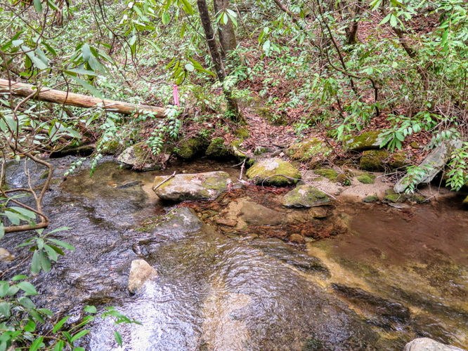 Picture 33 of Harper Creek Falls Hike 041617