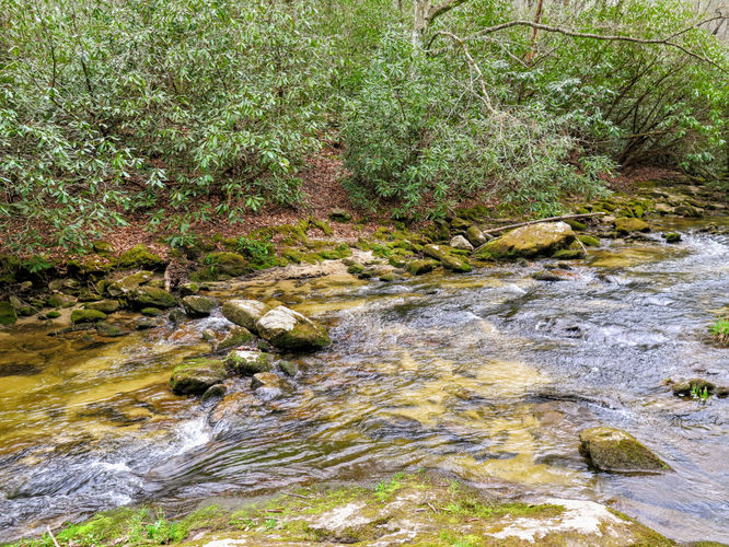 Picture 34 of Harper Creek Falls Hike 041617
