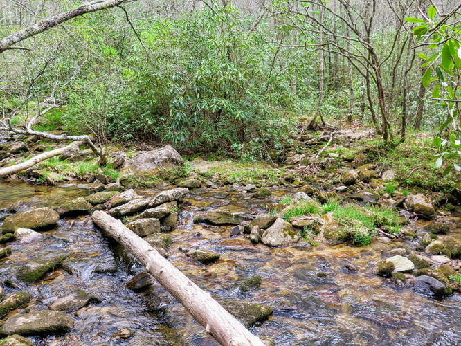 Picture 35 of Harper Creek Falls Hike 041617