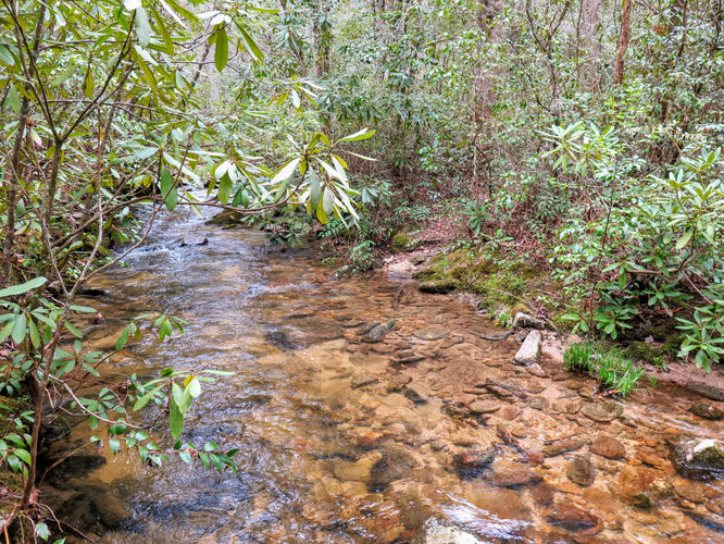 Picture 36 of Harper Creek Falls Hike 041617