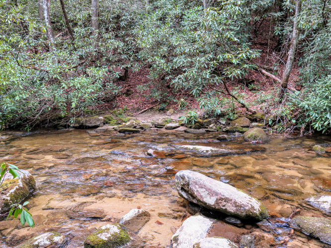 Picture 38 of Harper Creek Falls Hike 041617
