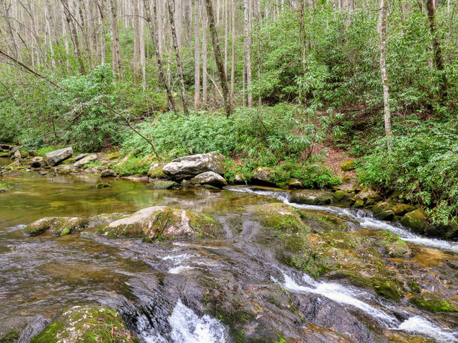 Picture 40 of Harper Creek Falls Hike 041617