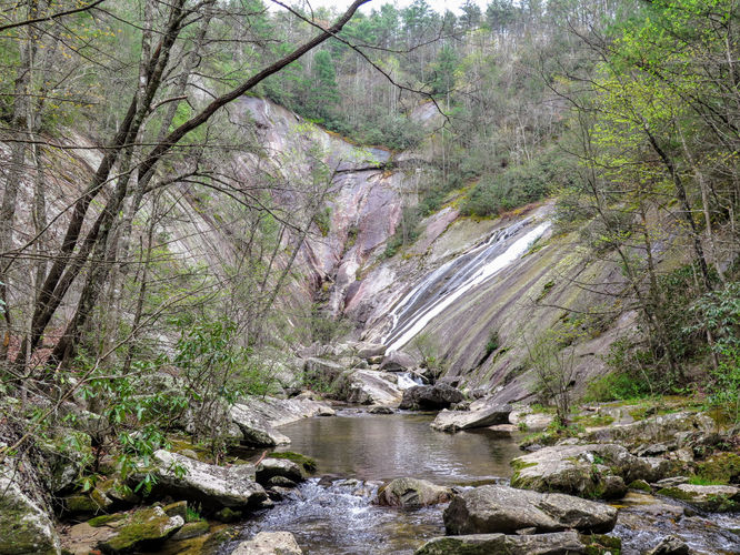 Picture 41 of Harper Creek Falls Hike 041617