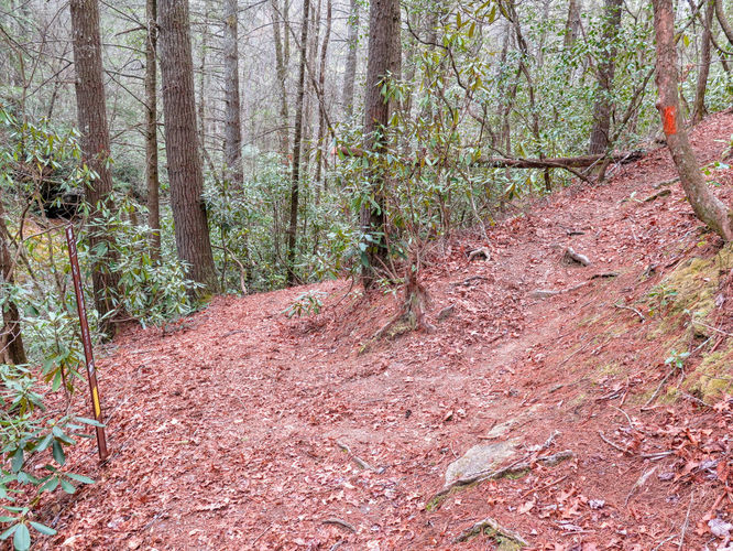 Picture 47 of Harper Creek Falls Hike 041617