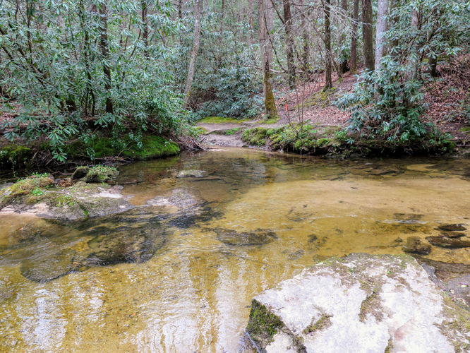 Picture 48 of Harper Creek Falls Hike 041617