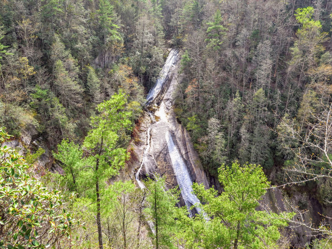 Picture 54 of Harper Creek Falls Hike 041617