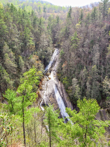 Picture 55 of Harper Creek Falls Hike 041617