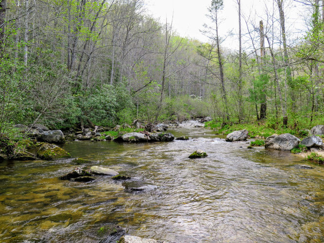 Picture 63 of Harper Creek Falls Hike 041617
