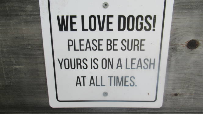 Dogs are welcome