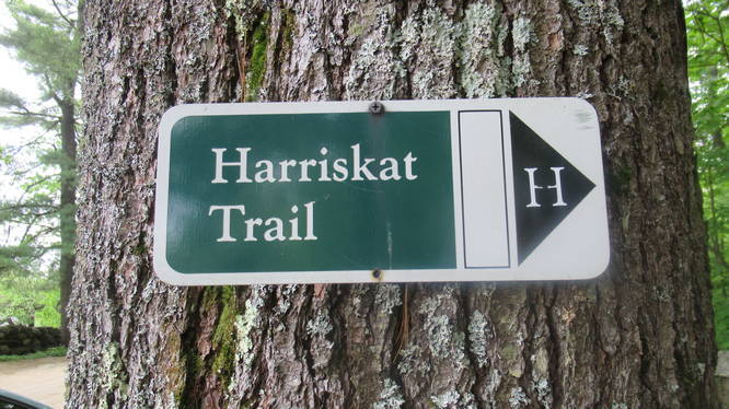 Trail Marker on tree
