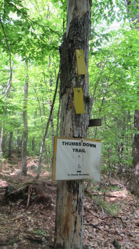 Trail marker changes to yellow rectangles on the Thumbs Down Trail