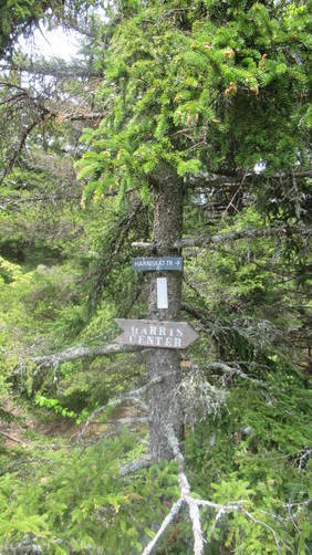 Trail markers on a tree at the Summit of Skatutakee Mountain