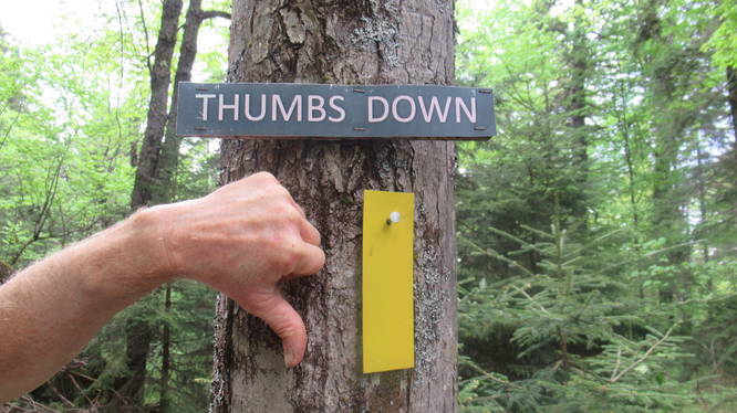 Trail blaze marker for the Thumbs Down Trail is a yellow rectangle