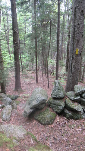 Trail crosses through an old stone wall