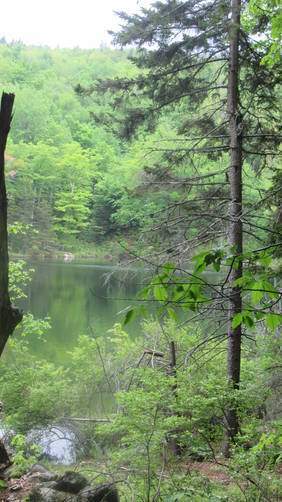 View of Jack's Pond