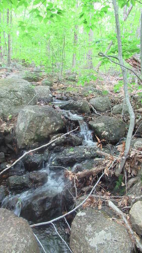 Spring season brings tiny waterfall to Bailey Brook