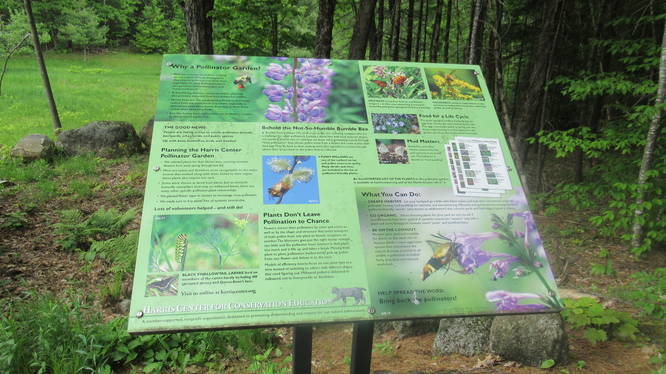 Information Placard at Pollinator garden