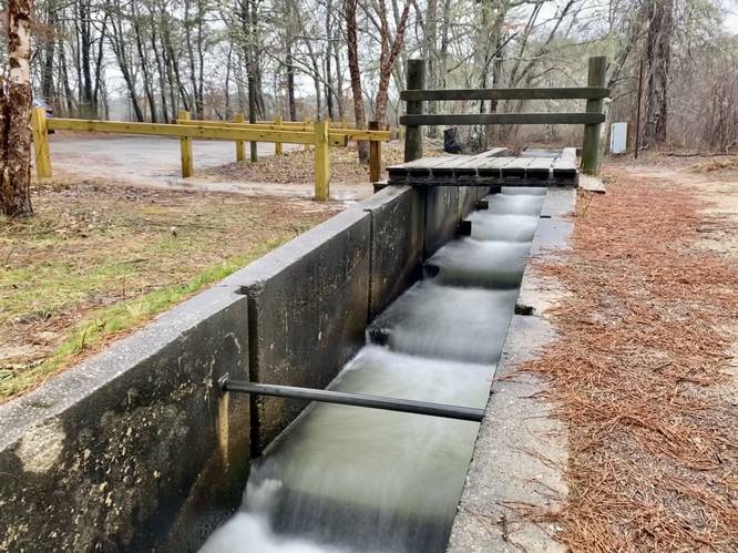 Herring Run (long exposure)